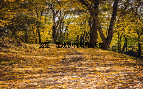 这里, 是我心中的绿色天堂