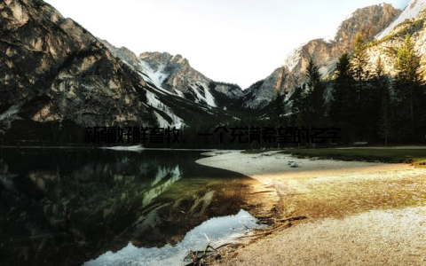 新疆好鲜畜牧, 一个充满希望的名字