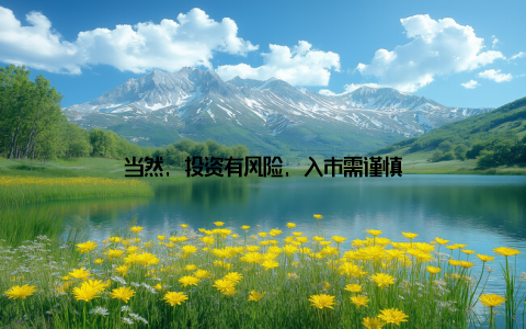 当然, 投资有风险, 入市需谨慎