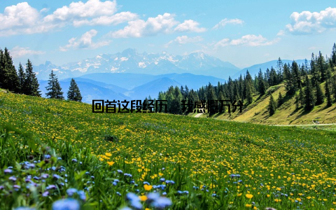 回首这段经历, 我感慨万分