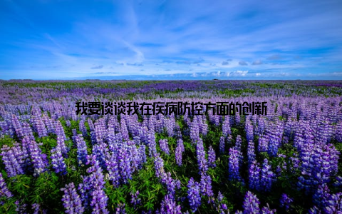我要谈谈我在疾病防控方面的创新
