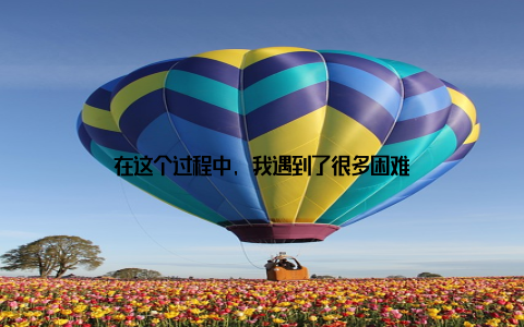 在这个过程中, 我遇到了很多困难