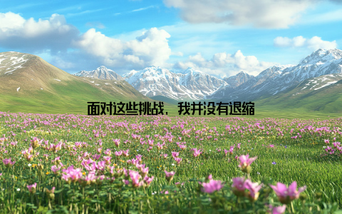 面对这些挑战, 我并没有退缩