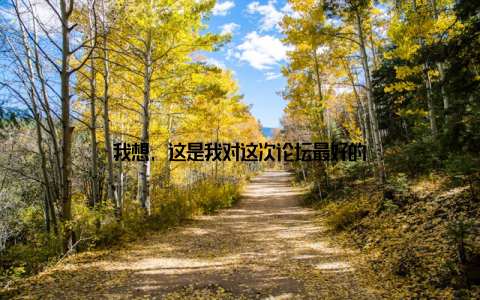 我想, 这是我对这次论坛最好的