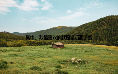 其中, 我最喜欢的就是猜奶源游戏