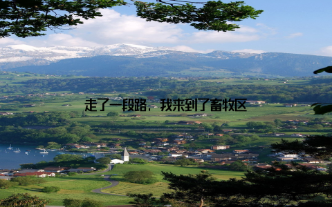 走了一段路, 我来到了畜牧区