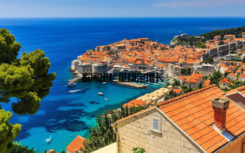 畜禽出栏量稳定增长