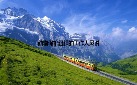 动物保护组织的工作人员说