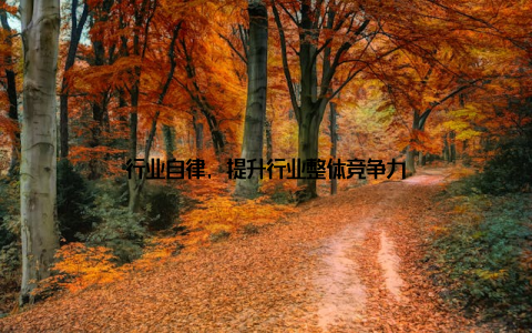 行业自律, 提升行业整体竞争力
