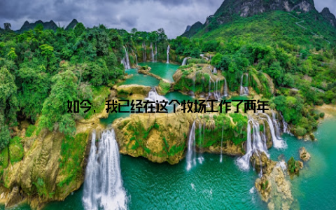 如今, 我已经在这个牧场工作了两年