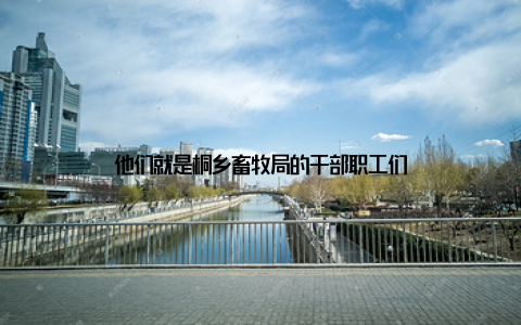 他们就是桐乡畜牧局的干部职工们