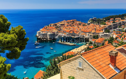 她的付出, 让我深感敬佩