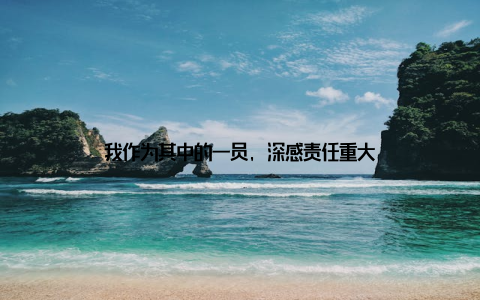 我作为其中的一员, 深感责任重大