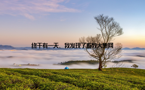 终于有一天, 我发现了畜牧大集网