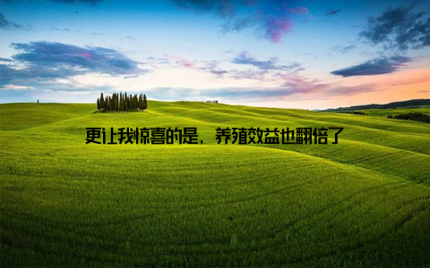 更让我惊喜的是, 养殖效益也翻倍了