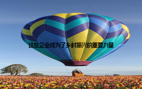 这些企业成为了乡村振兴的重要力量