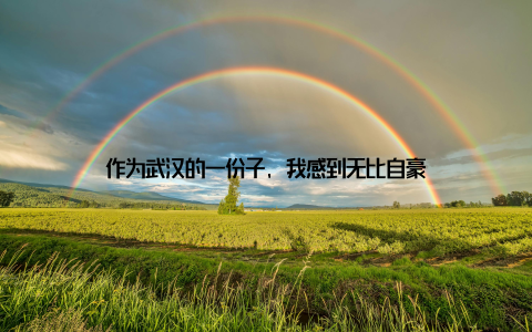 作为武汉的一份子, 我感到无比自豪