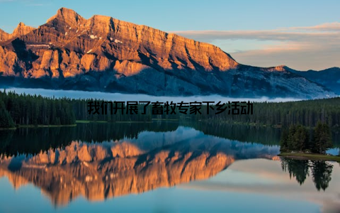 我们开展了畜牧专家下乡活动