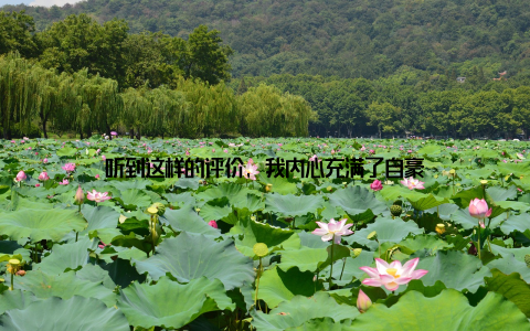 听到这样的评价, 我内心充满了自豪