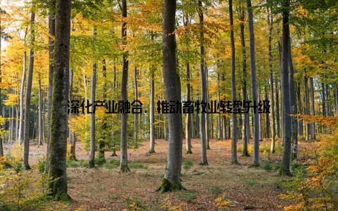 深化产业融合, 推动畜牧业转型升级