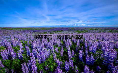 展望未来, 我们信心满满