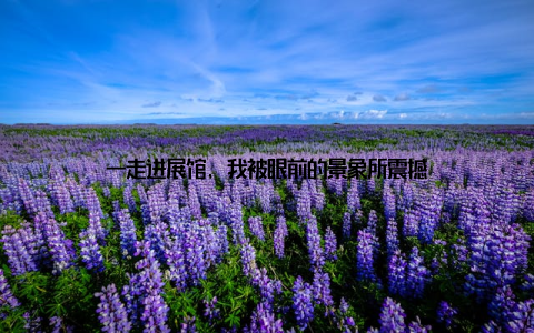 一走进展馆, 我被眼前的景象所震撼