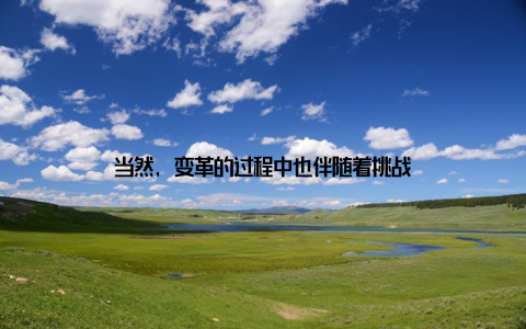 当然, 变革的过程中也伴随着挑战