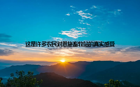 这是许多农民对恩施畜牧站的真实感受