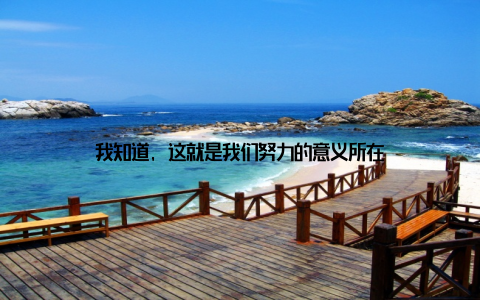我知道, 这就是我们努力的意义所在