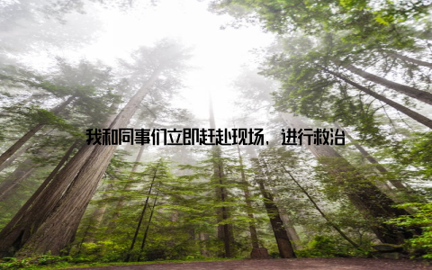 我和同事们立即赶赴现场, 进行救治