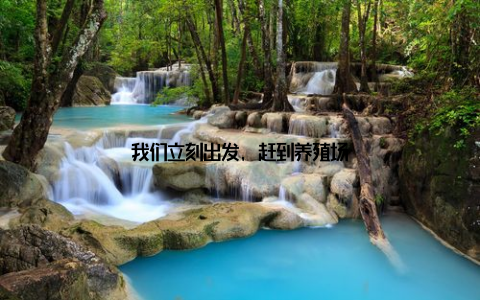 我们立刻出发, 赶到养殖场