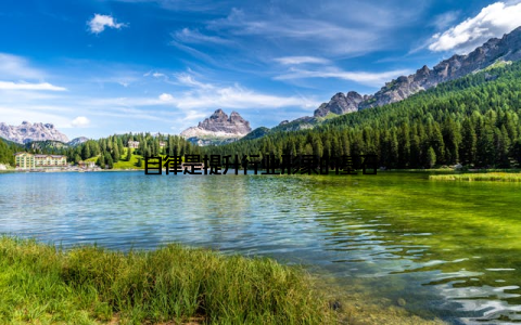 自律是提升行业形象的基石