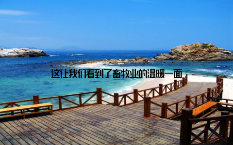 这让我们看到了畜牧业的温暖一面