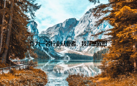 作为一名行业从业者, 我深感欣慰