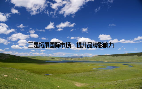 三是拓展国际市场, 提升品牌影响力