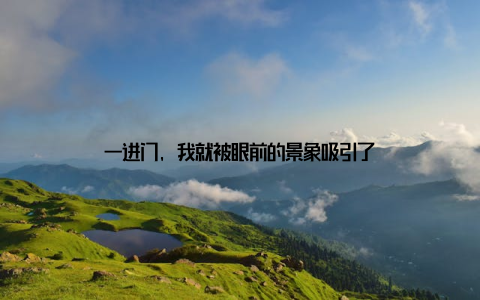 一进门, 我就被眼前的景象吸引了