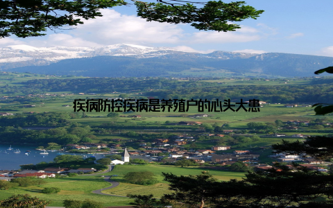 疾病防控疾病是养殖户的心头大患