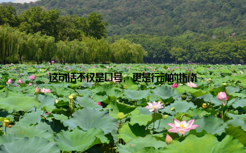 这句话不仅是口号, 更是行动的指南