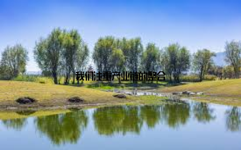 我们注重产业链的整合