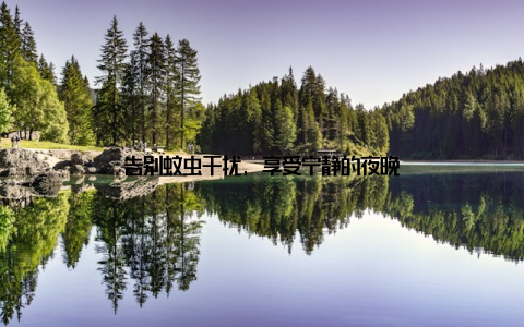 告别蚊虫干扰, 享受宁静的夜晚