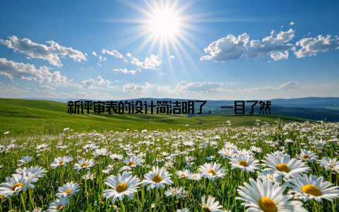 新评审表的设计简洁明了, 一目了然