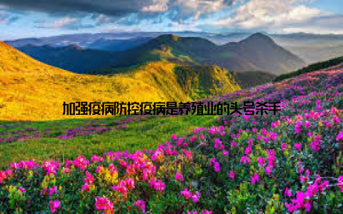 加强疫病防控疫病是养殖业的头号杀手