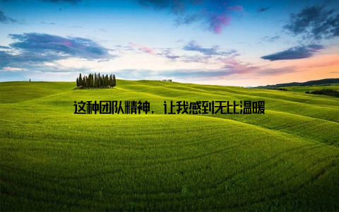 这种团队精神, 让我感到无比温暖