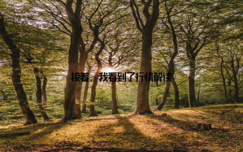 接着, 我看到了行情解读