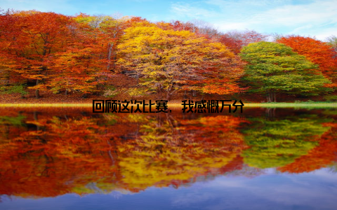 回顾这次比赛, 我感慨万分