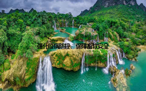 强化疫病防控, 保障畜牧安全