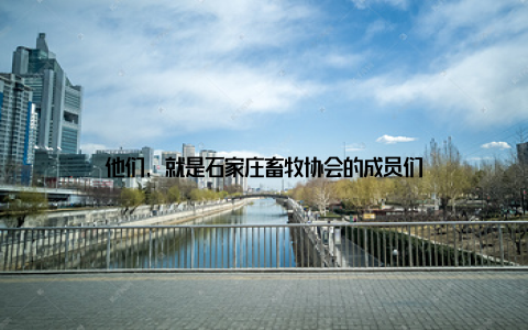 他们, 就是石家庄畜牧协会的成员们