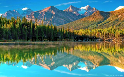 回首这段时间的工作, 我感慨万分