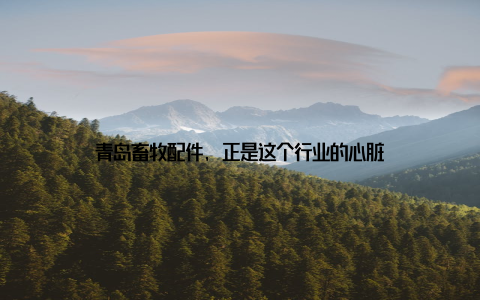 青岛畜牧配件, 正是这个行业的心脏