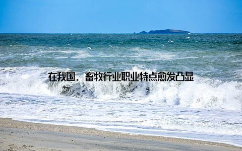 在我国, 畜牧行业职业特点愈发凸显